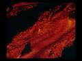Recopilacin espectacular de imatges de erupcions volcàniques