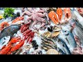 Mercury, Seafood and You: A Documentary Short