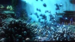 Walt Disney's Finding Nemo (2003) DVD/VHS Trailer in HD !!!!