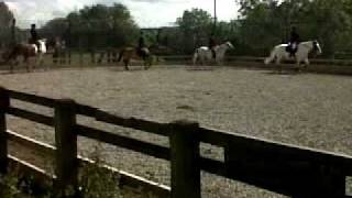 Bickleigh Stables