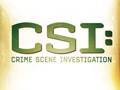 CSI - Words