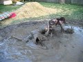 Backyard Mud Wrestling!!