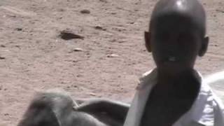 Lifestories: The Lost Boys of Sudan Trailer