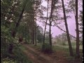 Фрагмент с средины видео Фильм-сказка. "ТАМ НА НЕВЕДОМЫХ ДОРОЖКАХ". Лучшие советские сказки Фрагмент с средины видео Фильм-сказка. "ТАМ НА НЕВЕДОМЫХ ДОРОЖКАХ". Лучшие советские сказки