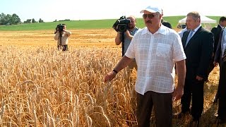 Лукашенко посетил курятник в селе Бульбасово и ознакомился с условиями труда кур-несушек