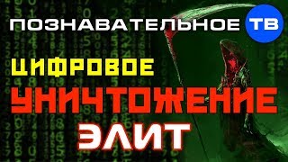 Цифровое уничтожение слизня национальных элит (Роман Василишин)