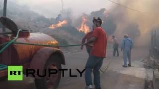 Лесные пожары бушуют на греческом острове Хиос