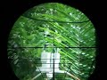 Image Akurasi Senapan Air Rifle Accuracy Test Sharp Tiger Indonesia