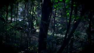 Trailer   Der Schluff und das Geheimnis der goldenen Taschenuhr