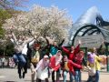 Picture Paket Tour Paris Perancis Wisata Muslim Cheria