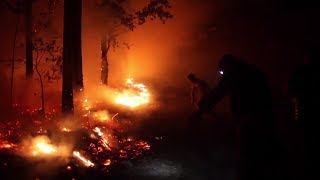 Галисия в огне: лесные пожары в испанском регионе унесли жизни двух человек
