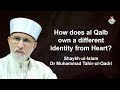 How Does al Qalb Own a Different Identity From Heart? | Dr Tahir ul Qadri