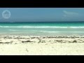 Tulum Beach - Mezzanine Beach - Tulum's Hidden Paradise