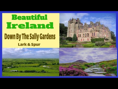 Down By The Sally Gardens Irish songs Celtic music Ireland folk traditional Ireland