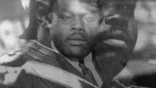 Catch the Tiger - The OFFICIAL Trailer