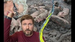 Канал Порошенко дал струю вверх
