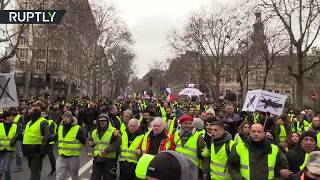 «Белый марш»: во Франции прошла 12-я акция протестов «жёлтых жилетов» (02.02.2019 23:23)