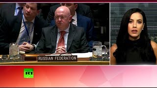 «Спектакль двойных стандартов»: Совбез ООН не принял резолюцию России по Венесуэле (01.03.2019 18:49)