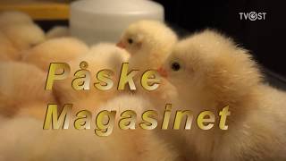 Påskemagasinet 2018Påskemagasinet 2018