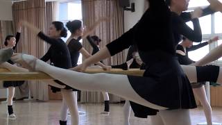 Лебеди на пенсии: в Китае набирают популярность курсы балета для бабушек