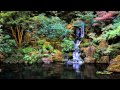 3 HOURS of The Best Relaxing music | Bamboo Flute | - Meditation - Spa - Healing - Sleep 3 HOURS of The Best Relaxing music | Bamboo Flute | - Meditation - Spa - Healing - Sleep