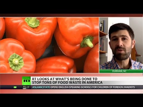   Business,  We’re teaching children it’s OK to waste food’ – anti-hunger activist  