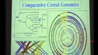 National Conference on Bio Prospecting Part 11