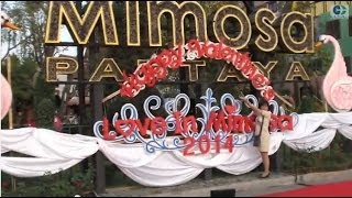 Intro-Trailer Mimosa' Pattaya 2014 HD720