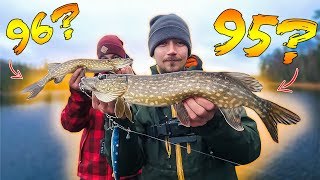 HOW MANY PIKE IN 10 HOURS? - Number Challenge | Team GalantHOW MANY PIKE IN 10 HOURS? - Number Challenge | Team Galant