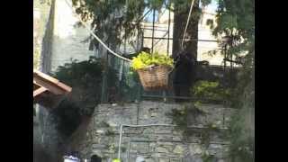 Pieve Ligure, la festa della mimosa-trailer  del docu film del 2013