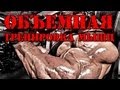 Денис Борисов - Объемная тренировка Денис Борисов - Объемная тренировка