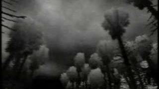 "The Night Journey" trailer