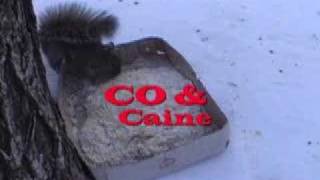 102.1 the Edge Toddy Tickles The Movie Trailer