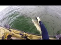 Photo Kayak Fishing Big Sharks Offshore
