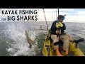 Photo Kayak Fishing Big Sharks Offshore