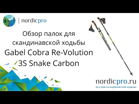 Gabel Cobra Re-Volution 3S
