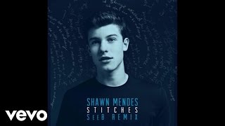Shawn Mendes – Stitches SeeB Remix – Shawn Mendes – Stitches SeeB Remix –