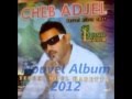 Cheb Adjel 2012 - Nouvel Album (Mai2012)- Ma Nakhodche El Ray (EXCLU)