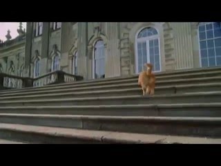 Garfield 2 (Trailer)
