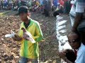 Image Lomba Balap Merpati Sprint Bupati Cup Kraksaan Probolinggo 2012