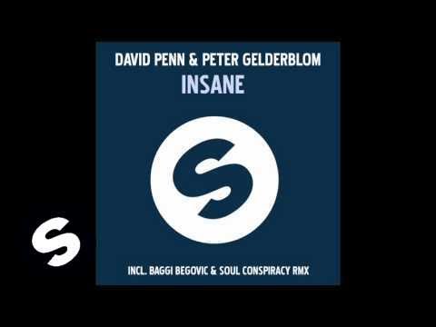 David Penn & Peter Gelderblom - Insane (Original mix) - UCpDJl2EmP7Oh90Vylx0dZtA