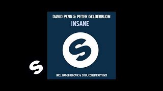 David Penn & Peter Gelderblom - Insane (Original mix)