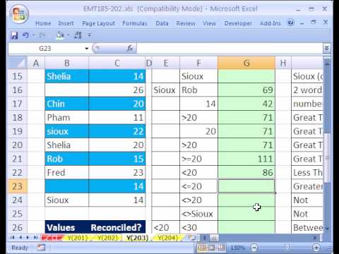Excel Magic Trick #203: SUMIF function formula 21 Examples of Different Criteria - UCkndrGoNpUDV-uia6a9jwVg