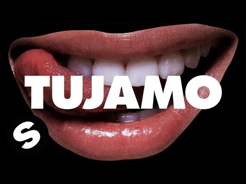 Tujamo - Say What You Wanna (Official Lyric Video) - UCpDJl2EmP7Oh90Vylx0dZtA