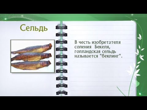 Кулинарная энциклопедия - Сельдь - UC7XBjhXnmmXFsxmnys9PmDQ