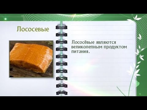 Кулинарная энциклопедия - Лососевые - UC7XBjhXnmmXFsxmnys9PmDQ