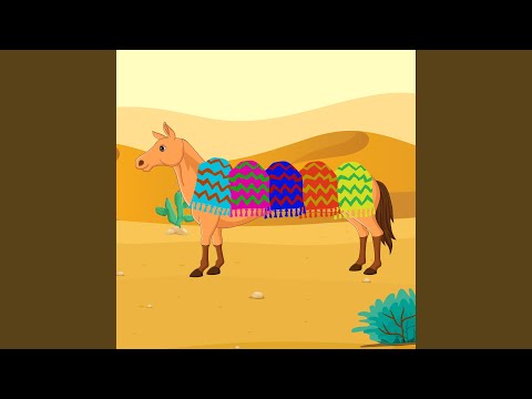 Sally the Camel