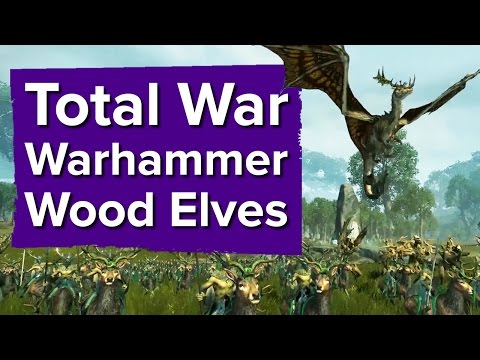 5 minutes of Total War: Warhammer Wood Elves Gameplay - UCciKycgzURdymx-GRSY2_dA