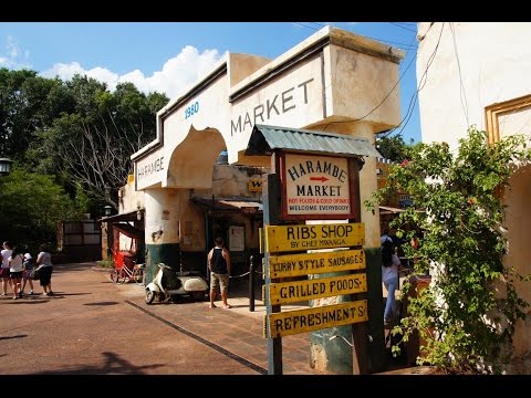 Harambe Market opens at Animal Kingdom with African-inspired food and theming - UCYdNtGaJkrtn04tmsmRrWlw