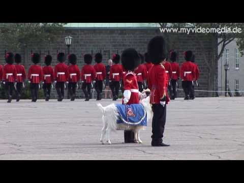 Québec, Changing of the Guard, Citadelle - Canada HD Travel Channel - UCqv3b5EIRz-ZqBzUeEH7BKQ